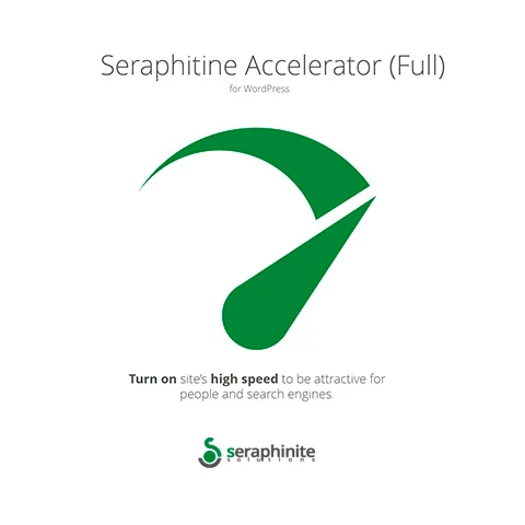 Seraphinite Accelerator (Full, premium)