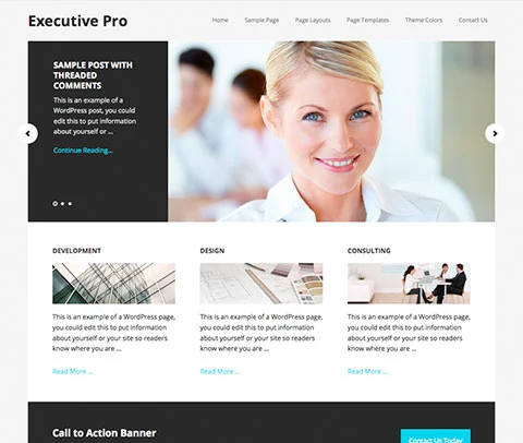 Executive Pro Theme