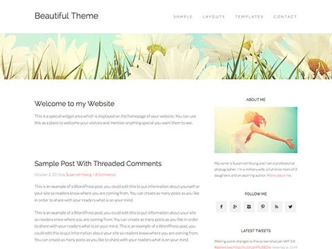 Beautiful Pro Theme