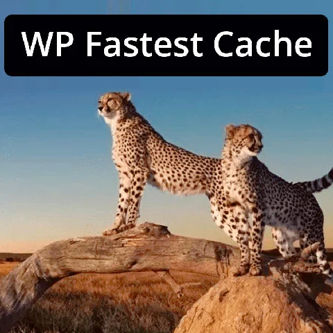 Vista previa de WP Fastest Cache Premium