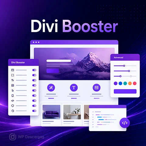 Divi Booster