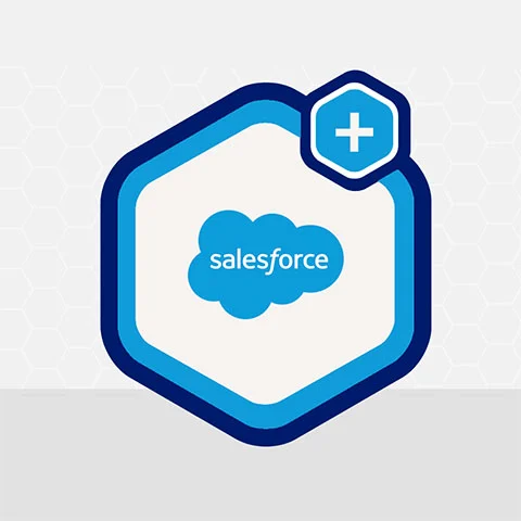 Gravity Forms Salesforce Add-On