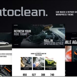 Limpieza automática theme autoclean