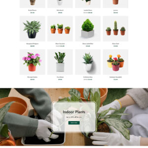Panet – Tema Shopify para plantas